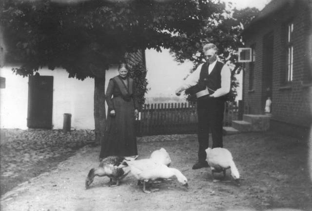 skindhavegaard1 