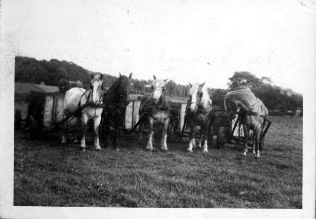 ave_0125 Fotoalbum tekst: ?Far paa T�rvemosen?. K�rsel af t�rvesmuld fra Skuderl�se Enghave. Min farfar k�rte ?smuld? under krigen.