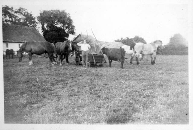 ave_0126 Fra H�sten. Fotoalbum tekst: ?L�ders g�r Honn�r?.
