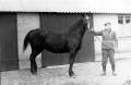 ave_0153 Aage med hest foran garagen p� Tofteg�rd. Estrid: Taget 1956-1958, hvor Aage boede p� Tofteg�rd
