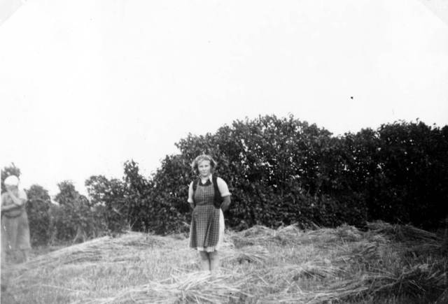 fal_0133 