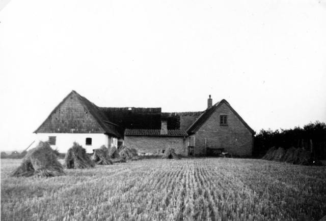 fal_0134 