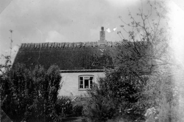fal_0135 