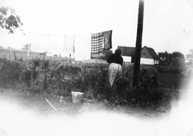 fal_0136 