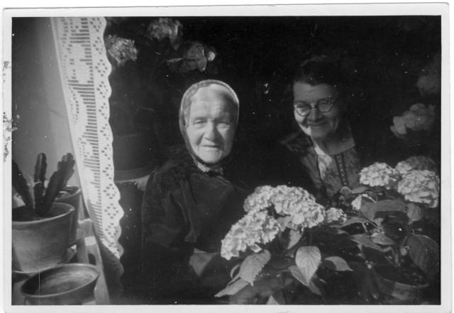 album2_04 Fra venstre: Bedstemor (Ellen Marie, Anes mor) og faster Ane